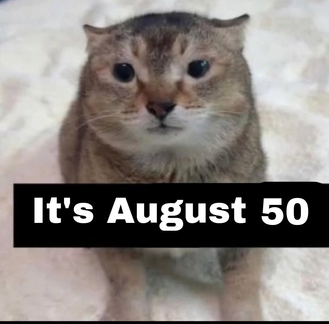 the47cat's tweet photo. https://t.co/kZmr0zAgYm