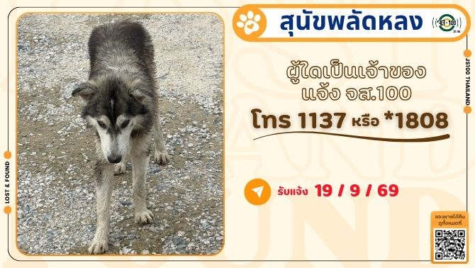 js100radio's tweet photo. พบสุนัขพลัดหลงที่บริเวณสวนสาธารณะ พุทธมณฑลสาย 2 เขตทวีวัฒนา ผู้ใดเป็นเจ้าของแจ้ง JS100 โทร *1808 หรือ 1137

รายละเอียดเพิ่มเติม : https://t.co/ZzN9OtkRhO

#สุนัขพลัดหลง #ตามหาเจ้าของ #JS100 https://t.co/FAAeXqV2yu
