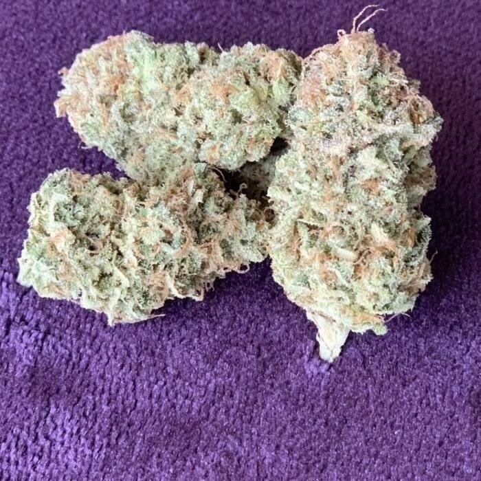 popeyeseed's tweet photo. Blue Gelato 41

甘く柑橘系の風味を持つ、強力で高収量の株。
栽培が容易で、湿気やカビにも強い品種
が冴え、エネルギーに満ちた効果。 https://t.co/v8P0FyFUnv