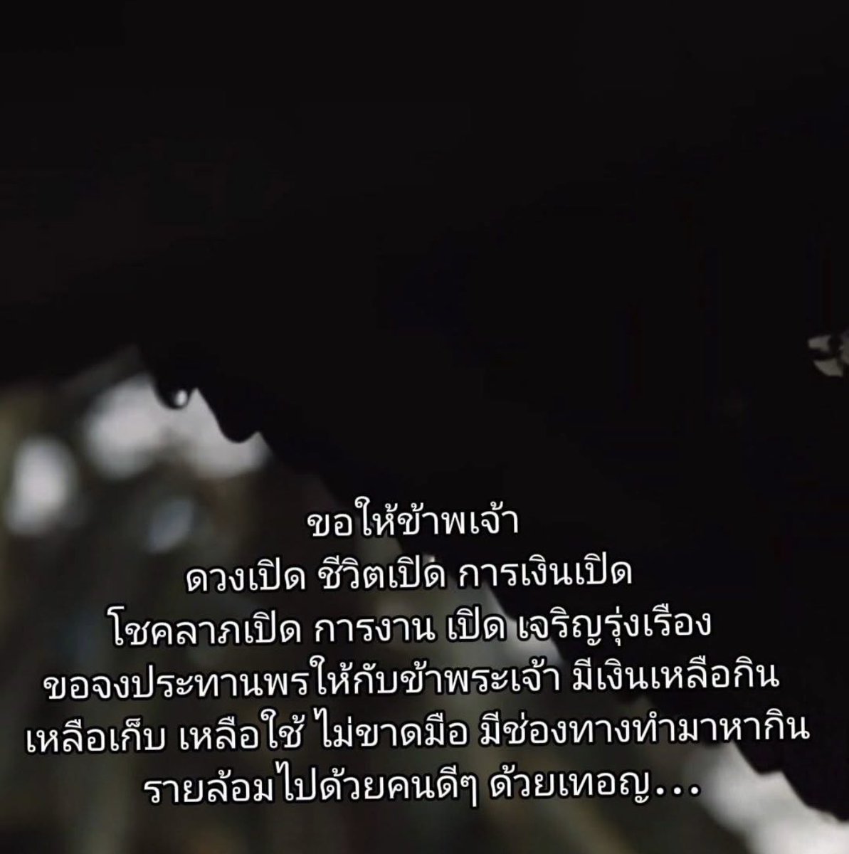 BBMassage92's tweet photo. 🌻🤍🕊 🙏🙏🙏💵💰💵💰💵💰
🌻 19/9/2026 💵💰💵💰💵💰💵
☘️ #ระยอง https://t.co/3qjTST6XVu