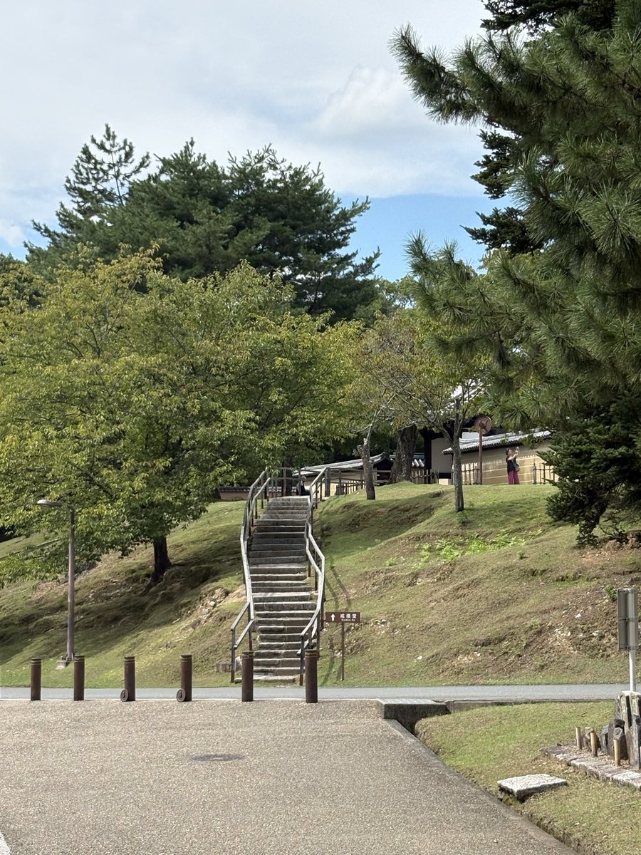 cha_chai_tea's tweet photo. 連休である。
東大寺。
四天王像を見に来たけれど大仏殿と別料金だったのね（╹◡╹）
誰も来なくてのんびりのんびり。 https://t.co/aLqkCaKbTO