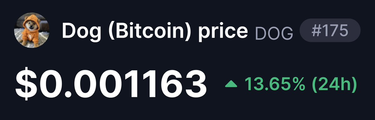 LeonidasNFT's tweet photo. BREAKING: $DOG is up +13.6% today and is outperforming all of the top Robinhood and Solana memecoins https://t.co/HzmXx3GcLK