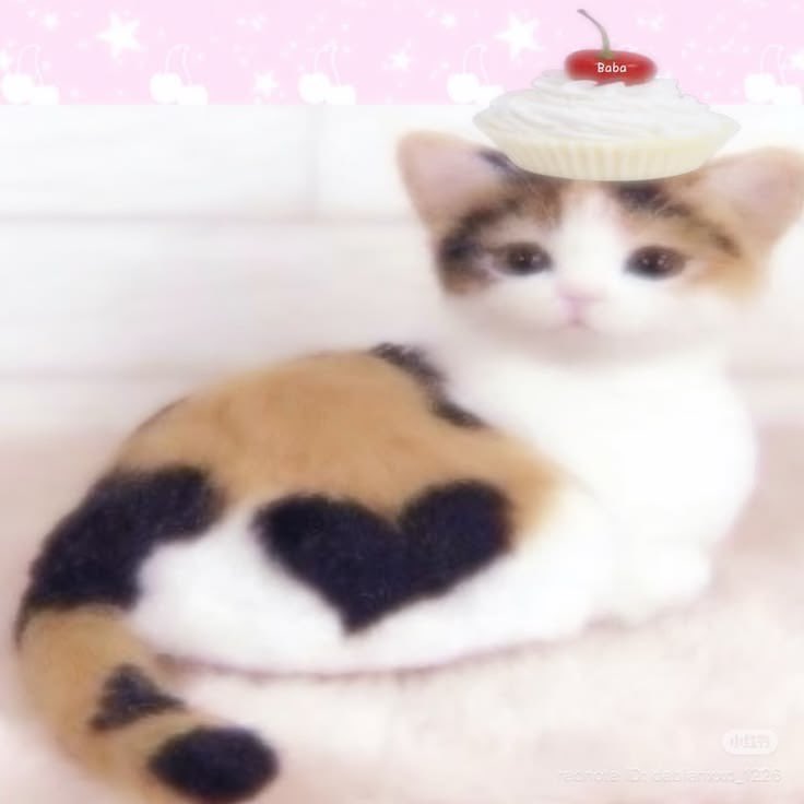 Meowrangler's tweet photo. we fw da fit :3 https://t.co/34mDCOamUX