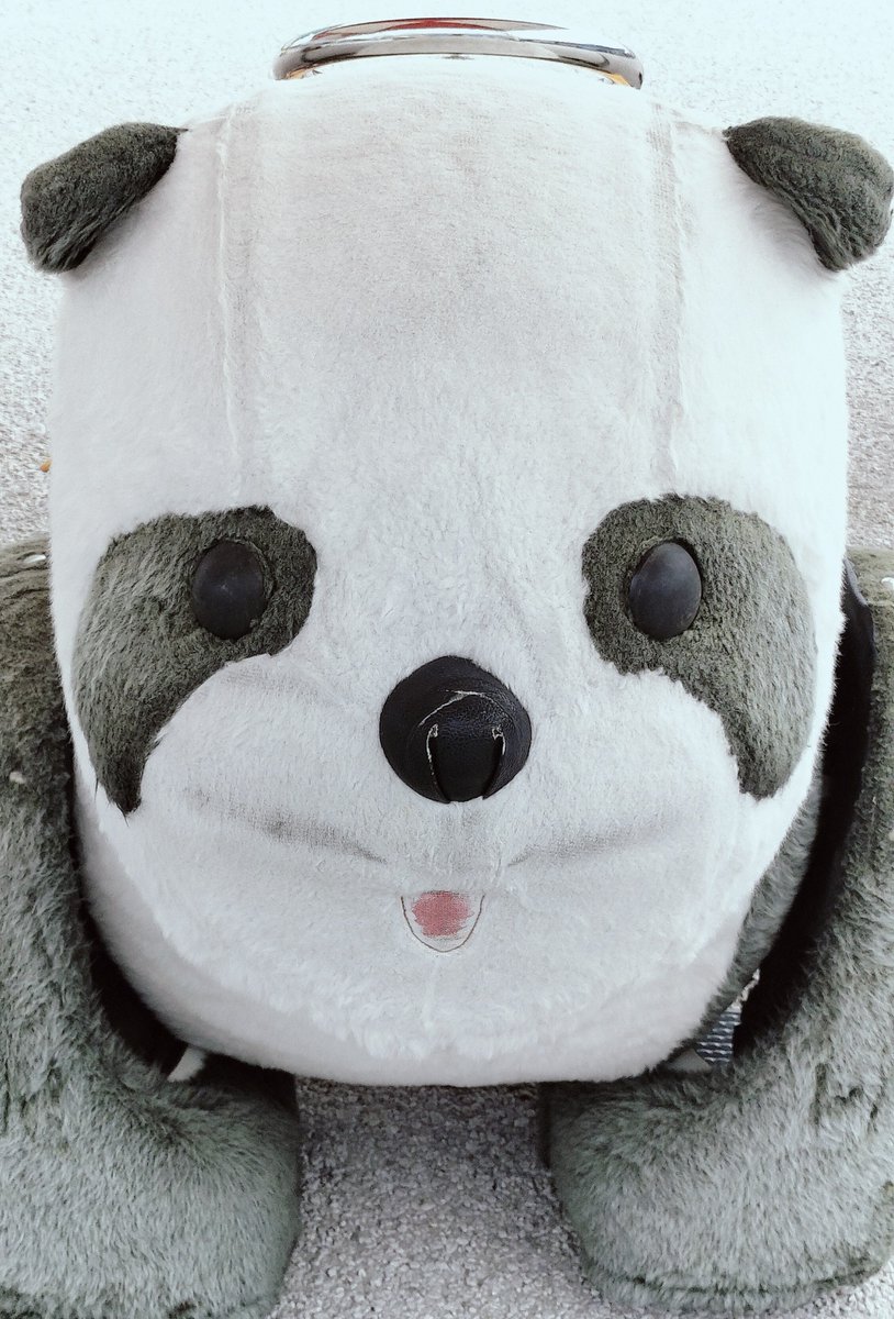 takayaZ's tweet photo. わいも意志疎通を試みる🐼 https://t.co/TufgNuQU4x