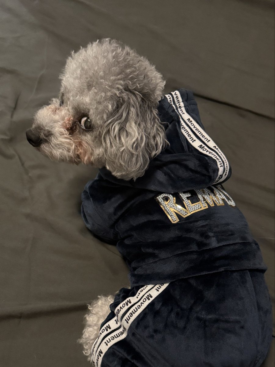 mototsugu_coolx's tweet photo. #ラヴ上等 🐶 https://t.co/bHvoUcHMRu