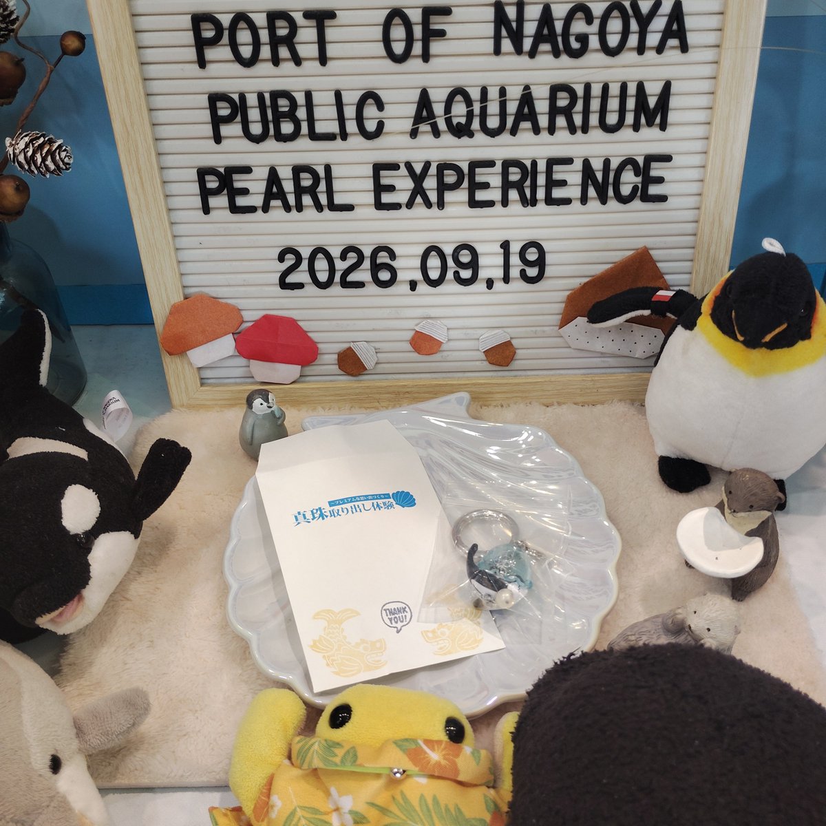 hana00ya's tweet photo. 名古屋港水族館のところにある真珠取り出し体験にアジパラ？新商品がありました✨
りんちゃんです！可愛い😍😍
#けろ散歩 https://t.co/Y38NsCtF0N