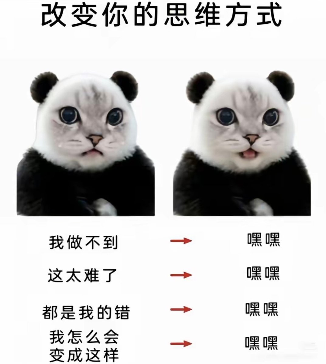 lanyu_0101's tweet photo. 嘿嘿 https://t.co/n9OL58gh2B