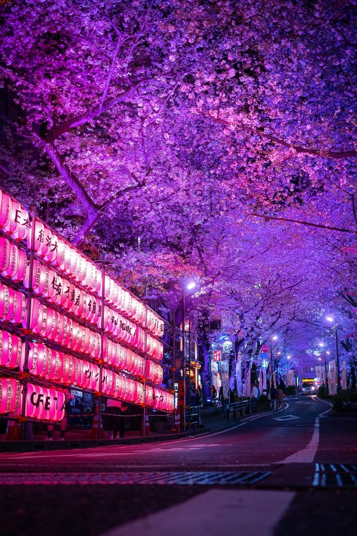 Amazing_Views7's tweet photo. Japan 🇯🇵 https://t.co/pFJUHQHMvA