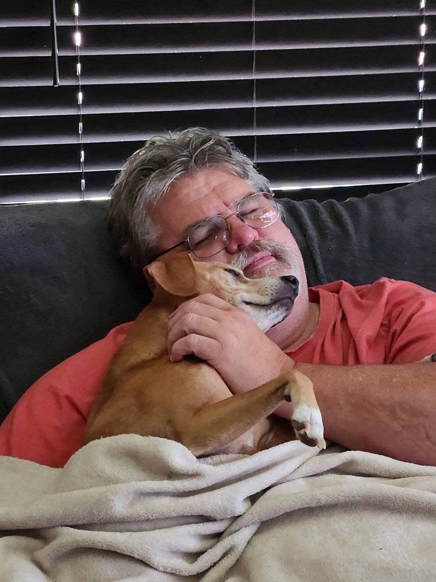 AdCzeiner's tweet photo. @Sassafrass_84 Our baby Peaches is part Daschound. She is incredibly smart, agile, expressive  and a total flirt https://t.co/8H8jH99uZD