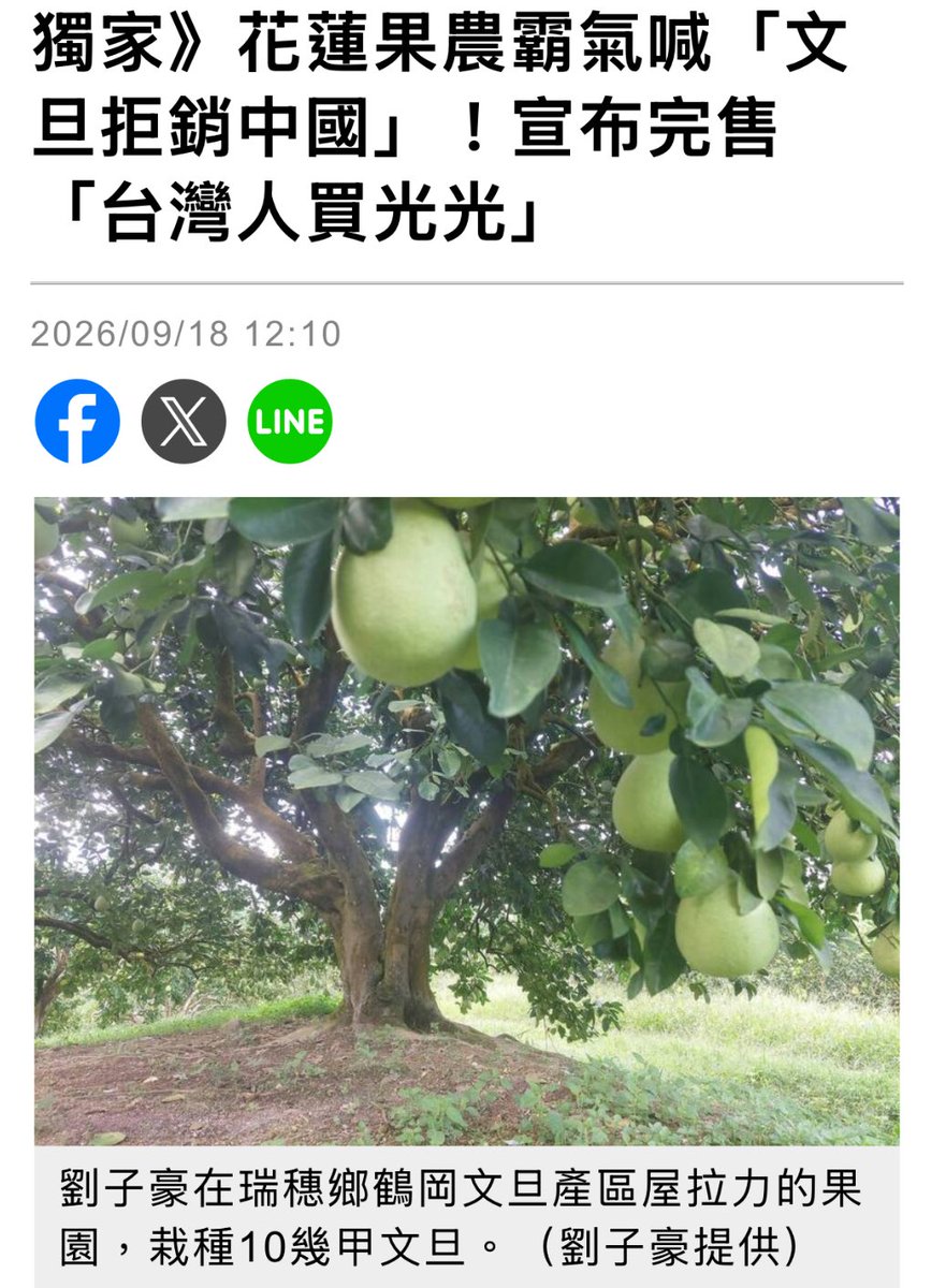 franklee750422's tweet photo. 「在台灣有骨氣可以轉換成完售的買氣」💪

這事件就發生在花蓮瑞穗鄉鶴岡村屋拉力部落山上種文旦的劉子豪身上，
他公開說他的文旦拒絕銷中國，
然後在台派網友的團購訂單和老客戶支持下，
幾十萬台斤文旦全部賣光光👏

你可以卑微跪著求售，
也可以站著驕傲銷售，
不同的策略態度，
不同的人格高度❗️ https://t.co/IVJMayDfRQ