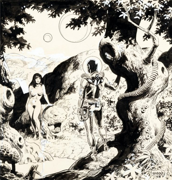 westwindcomics's tweet photo. Sci-Fi ink piece by Master Wally Wood. You can find more by him following this link: https://t.co/6IBqP5BdOx https://t.co/D3ZS20gVPx