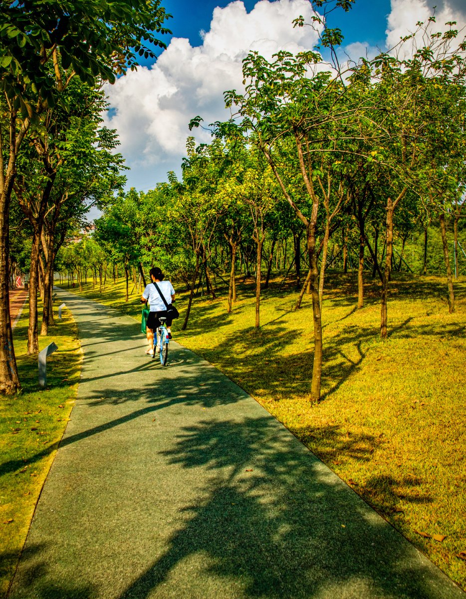 LizzieWoe's tweet photo. Your daily 10-min walk works wonders! Boosts energy, improves mood u0026 supports heart health. Small steps = big health wins ♂， https://t.co/YdHAmi9zyD