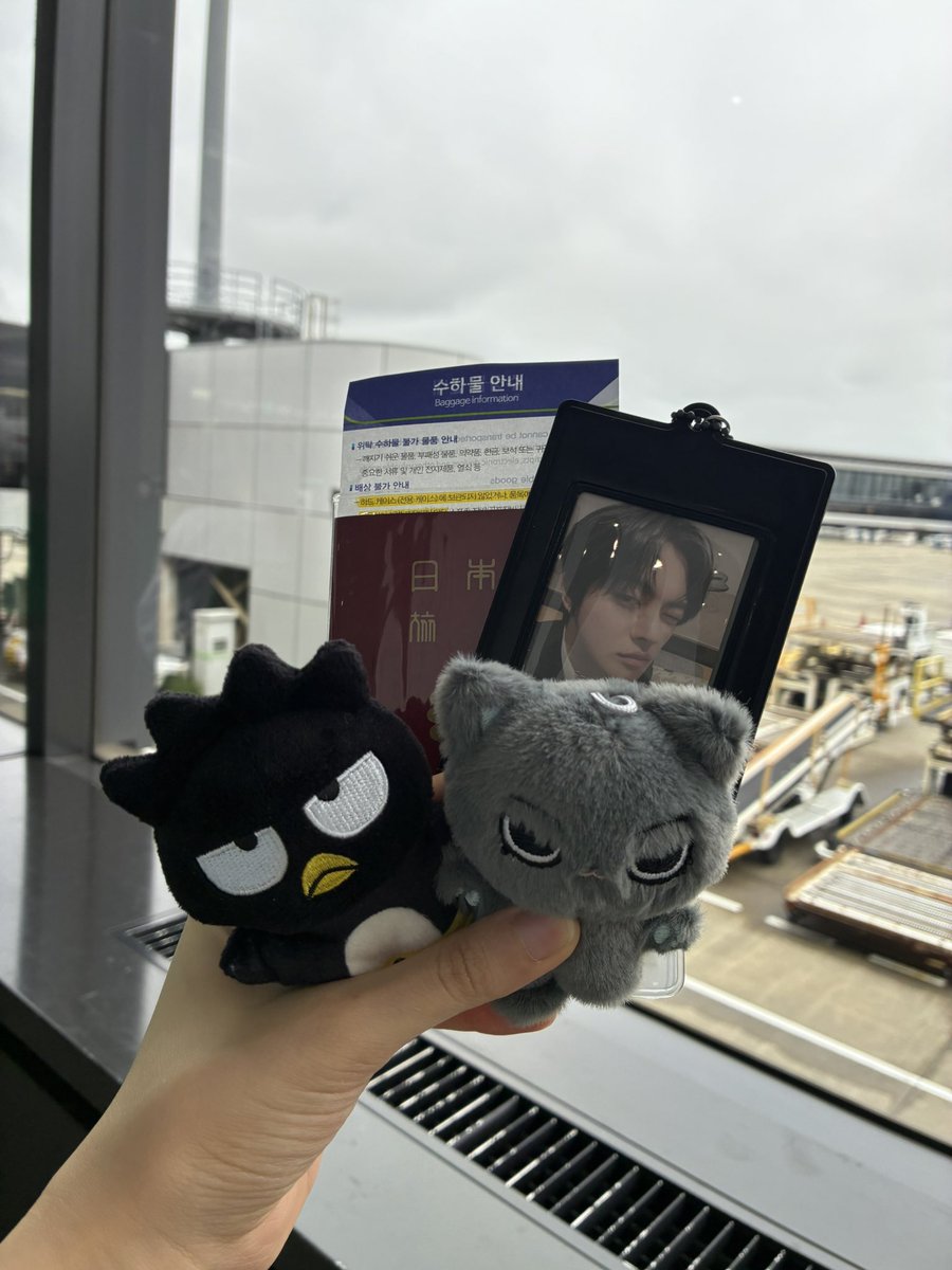 leeee_2531's tweet photo. 부산🌊 https://t.co/gFYtWy0PpK