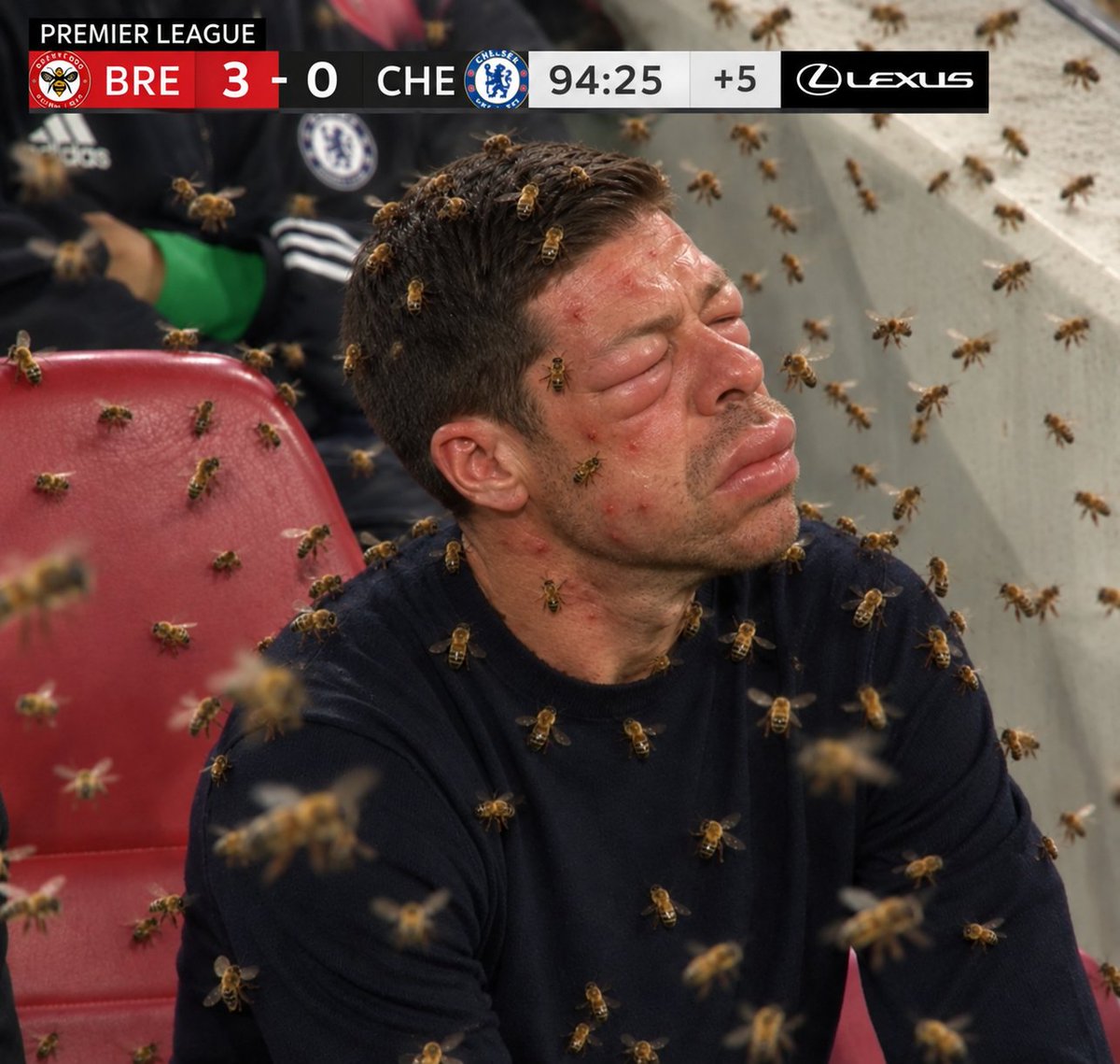 Captain_Waris's tweet photo. Alonso heavily stung by the bees 🤧😔 https://t.co/Mv6CXKBHsR