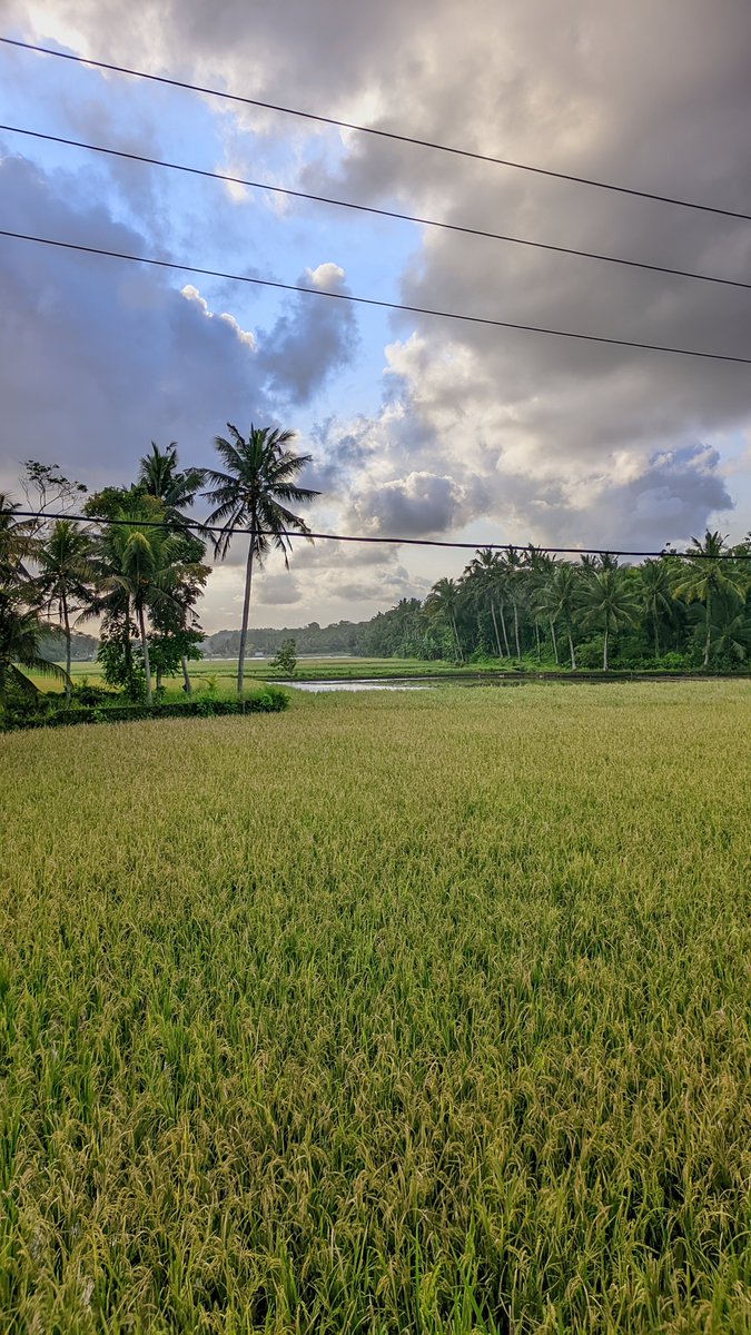 vyowiz_'s tweet photo. Jangan terlalu nyaman bersandar pada siapa pun itu, karena sedikit aja sesuatu itu bergeser maka kamu akan kehilangan keseimbangan, dunia hanya perihal datang, pergi dan menghilang.

Semua hal bisa aja berubah pada waktu nya, entah itu masa atau rasa nya, bahkan semua bisa aja pergi meskipun mereka sudah berjanji.