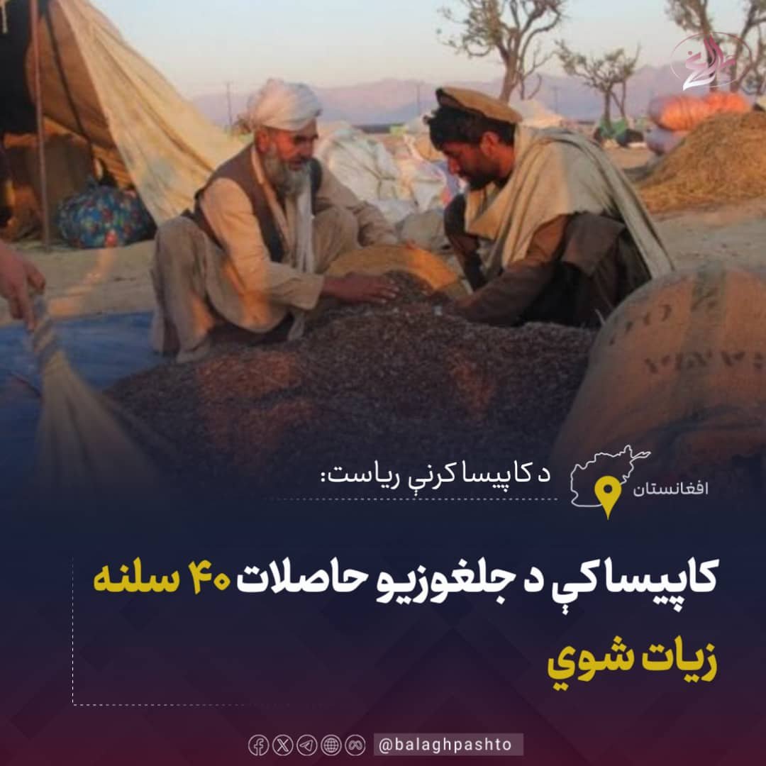 balaghpashto tweet picture