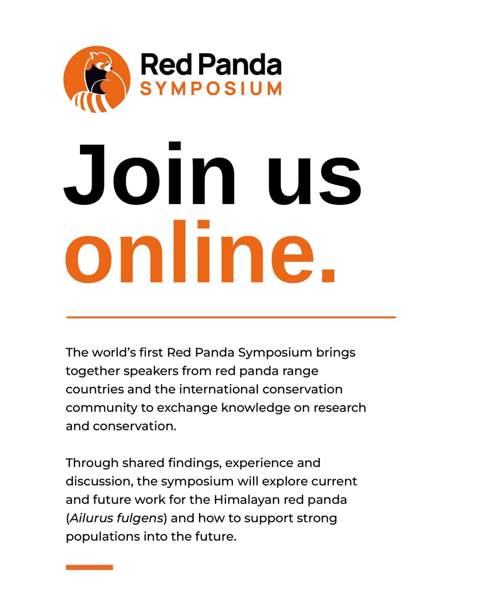 RedPandaNetwork's tweet photo. How are red pandas faring across their range? What is working to protect them and what do we still need to understand?

The world’s first Red Panda Symposium brings together researchers and conservation practitioners to examine these questions. You can join online, hearing directly from people studying red pandas and working to protect them.

Explore research and conservation experiences from Nepal, Bhutan, India and China, from habitat and disease threats to restoration, community livelihoods and conservation breeding.

For students, researchers, conservation professionals and anyone with an interest in red pandas, this is an opportunity to learn from work happening across countries and disciplines.

📅 October 5 & 6, 2026
🎟️ USD $25 for one day | $50 for both days

Can’t attend live? Recordings of the day(s) you register for will be shared as well.

Register Here: https://t.co/XYQfx91Gz0

Share this invitation with a colleague or student who would benefit from joining.

#RedPandaSymposium #RedPandaConservation #RedPandaNetwork #RedPanda #IRPD