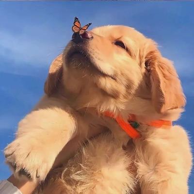 Stephen89904785's tweet photo. 🌱 🌐 🌸 💰 🔥 🌸 Is it just me or does Friday feel like a myth https://t.co/2laKGWzvmE
