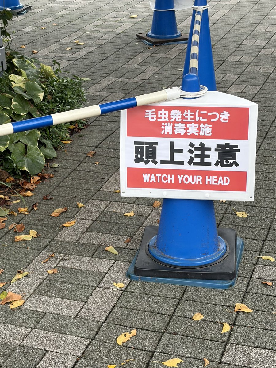 toshindo's tweet photo. ケムンパス https://t.co/LdvkfsX06q