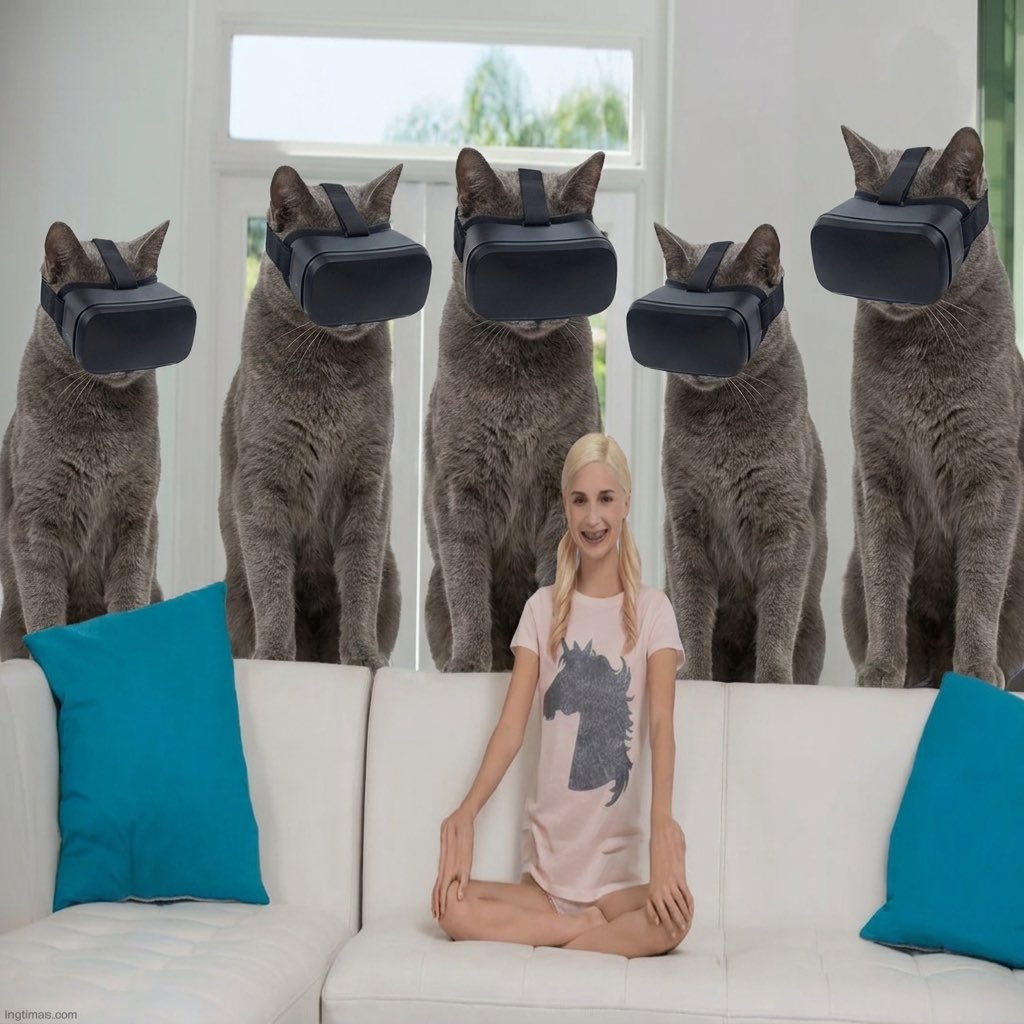 VRCat_META's tweet photo. Is this real life? https://t.co/qMN20gnqlT