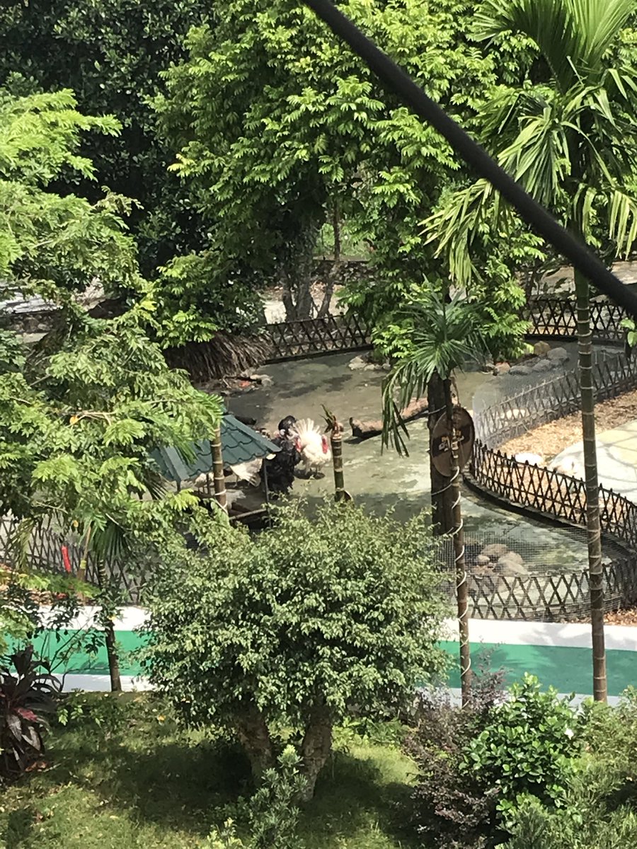 BachTTPOfficial's tweet photo. 2-day-long trip on the outskirts of hanoi ✌️ https://t.co/4n2BZimm7Z
