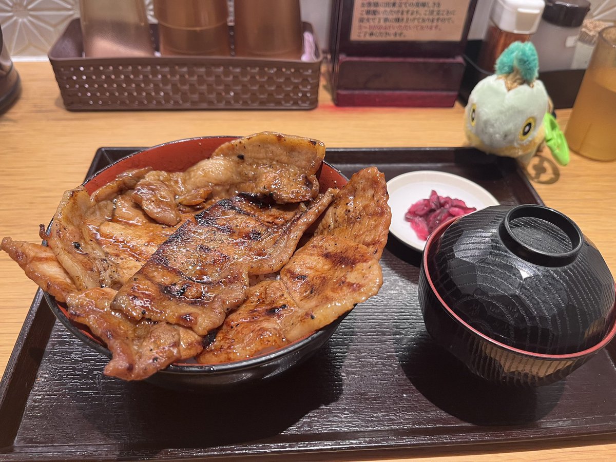 CooMaru41's tweet photo. 見てごらん、ナエトル。豚丼だよ。 https://t.co/8IwBxkZxWb