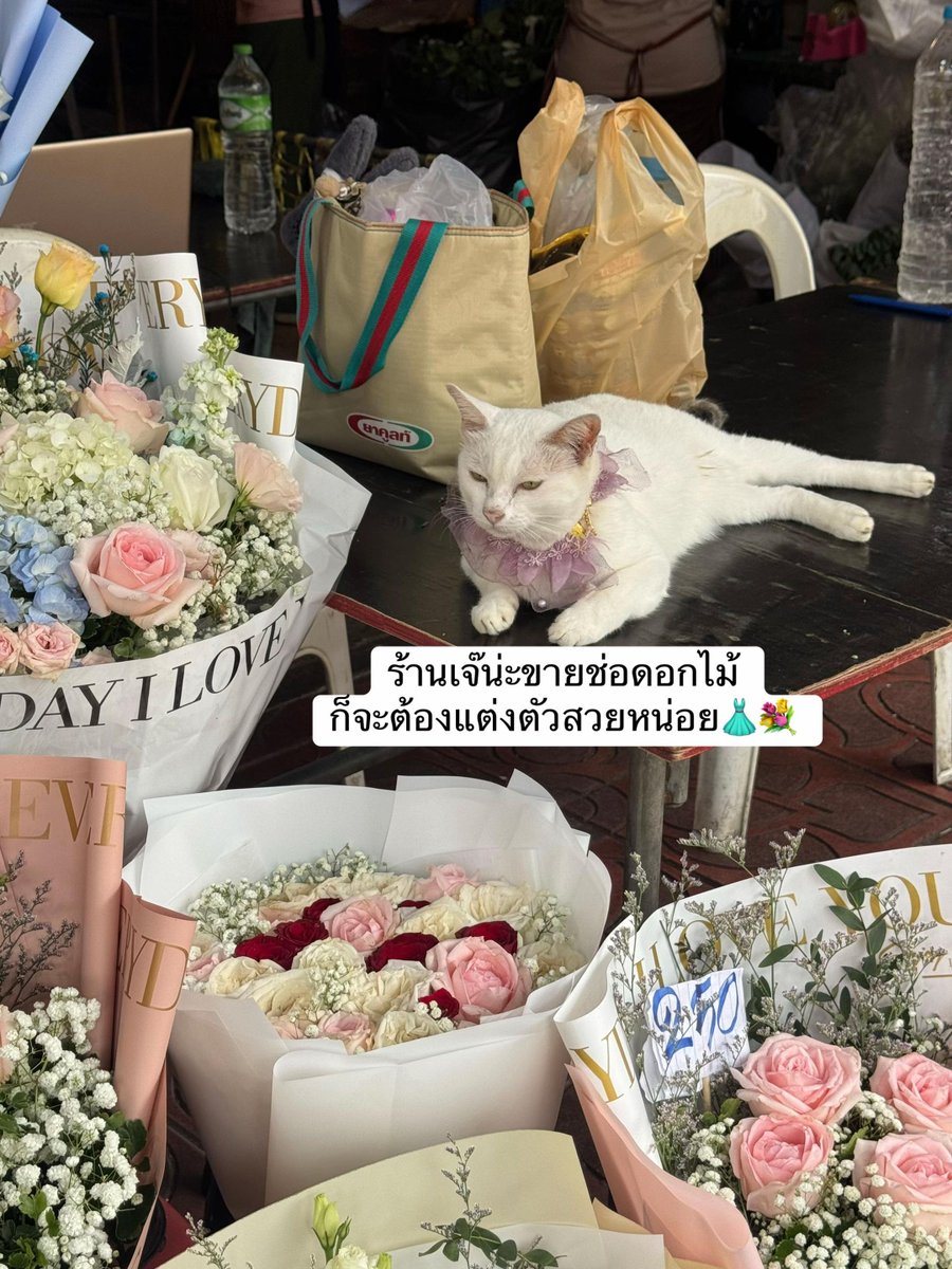 NunaxMx's tweet photo. ยิ่งกว่าโดน เไ แย่งงาน ปากคลองตลาดไม่ใช้คนขายดอกไม้แล้วนะรู้ยัง 🤣🤣 https://t.co/Lg0Hhc8pK6
