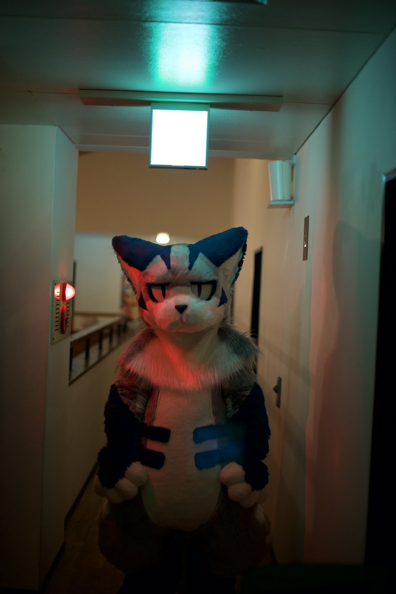 Parisian621's tweet photo. #FursuitEveryday 

🝦 🝦0O https://t.co/BkMyDy2yMe