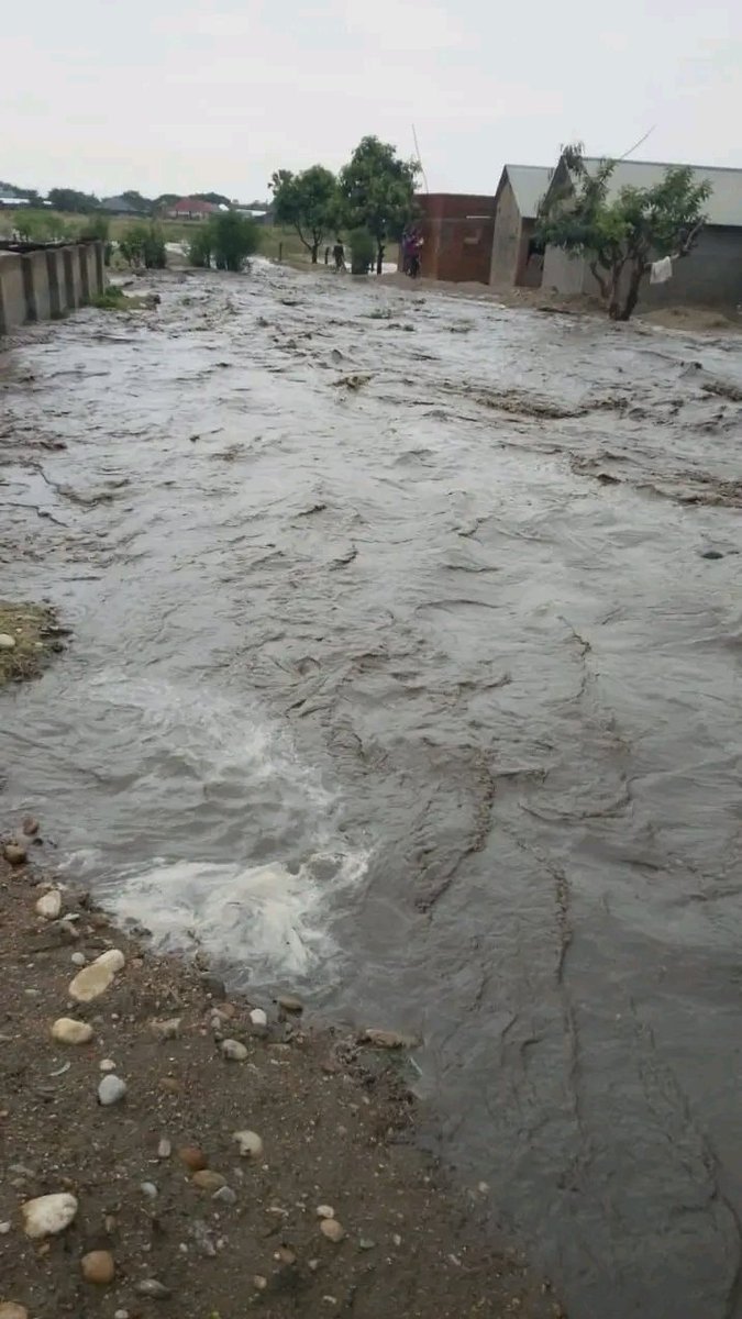 Gibt115's tweet photo. After months of prolonged heat and drought that left gardens dry, crops failing and farming communities struggling for water and livelihoods.
And already, River Nyamwamba has burst its banks today, affecting communities and critical infrastructure in Kasese Municipality. https://t.co/LgubQ1MUBF