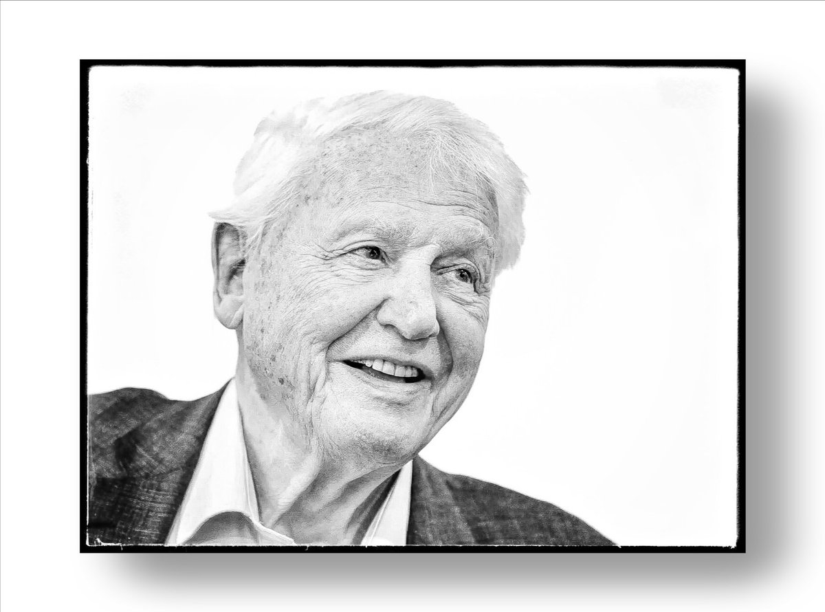 RemonaScheegvg's tweet photo. Happy birthday Sir David Attenborough one of the most important men on this  working most of his live to save the plant, an inspiration to all ages his programs have touch all ages about our plant. Soon be the job of the nation generation https://t.co/rLsLcOfXsc
