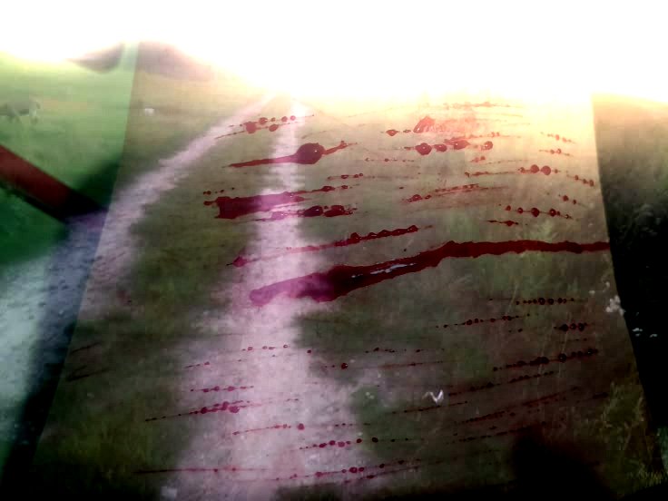 sobeyondfadedd's tweet photo. What i used to clean up: Alcohol wound wipe, toilet paper, cold water, and bandaids

FAKE BLOOD! FAKE!! AI!!! SFX MAKEUP!!!! HALLOWEEN PRACTICES!!!!! I DON'T PROMOTE SELF INJURY!!!!!! https://t.co/gyxEyRiuIE