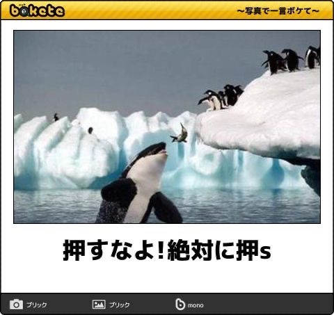 kajikura_desu's tweet photo. https://t.co/ECmjhS4jOL