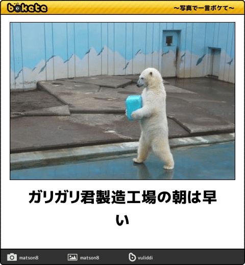 kajikura_desu's tweet photo. https://t.co/QiYjPs1Fo9