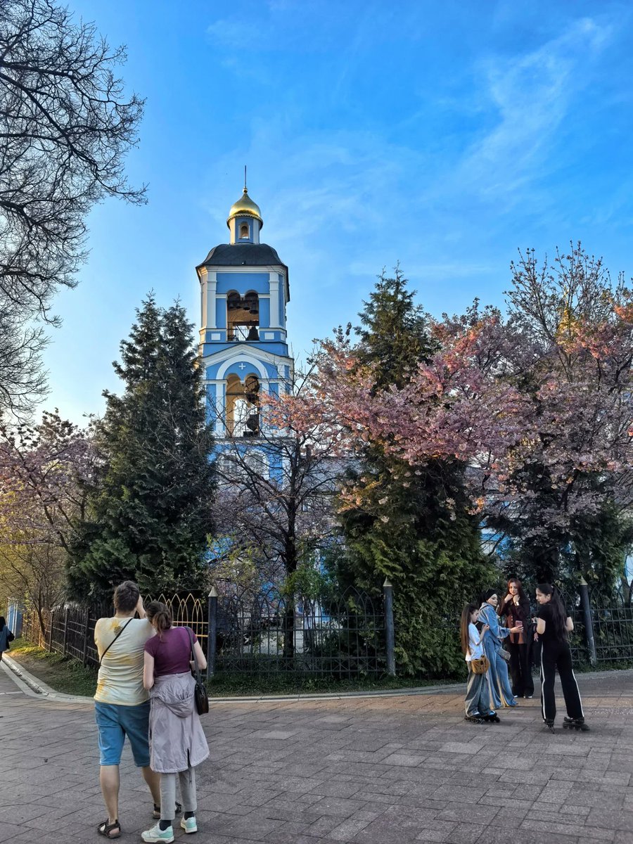 VashtiSheweq's tweet photo. Один раз в год сады цветут.. 🌸🌸🌸🌸🌸
Весна в парке "Царицыно" 😍 https://t.co/BR2wSPU334