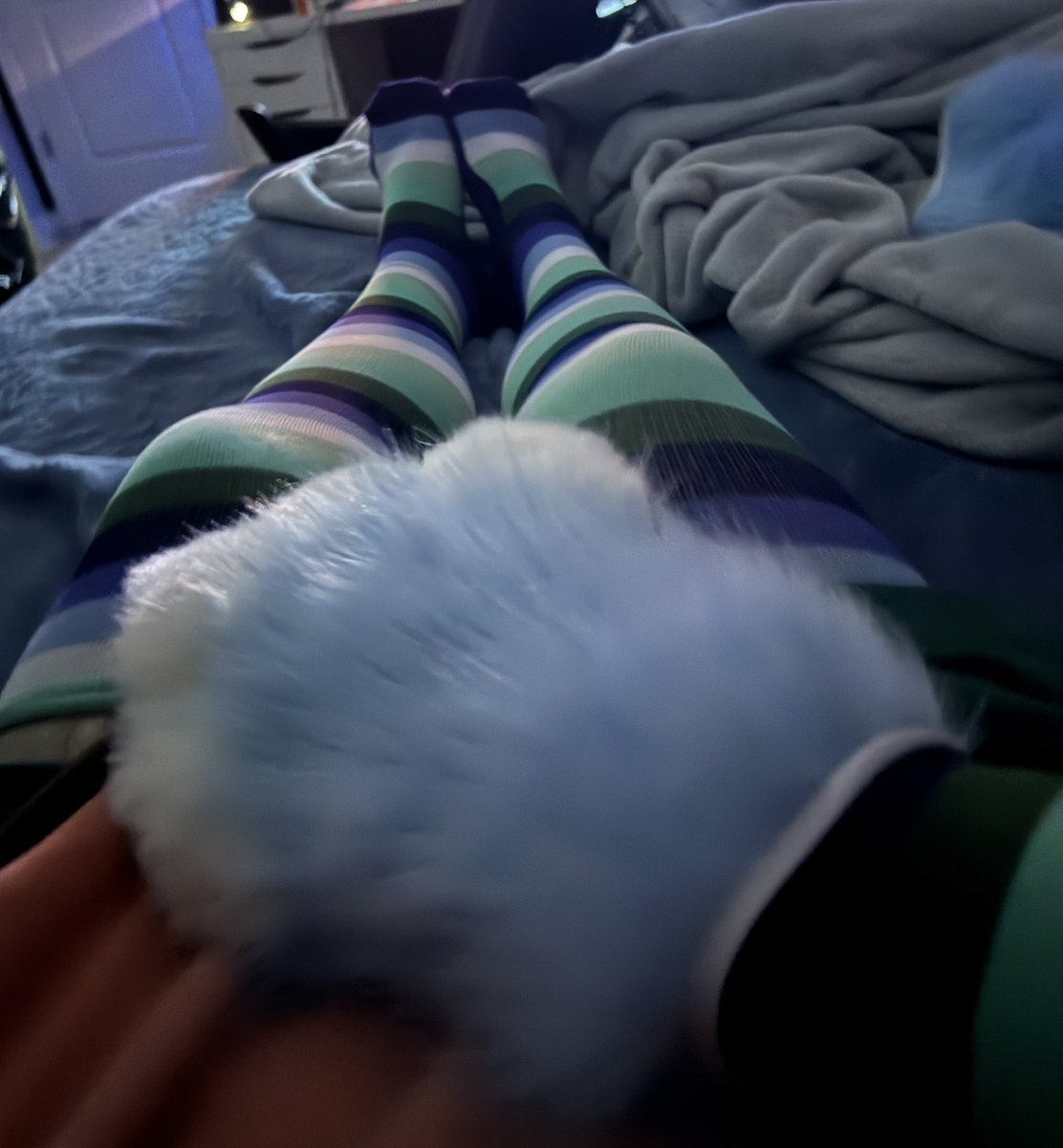 Jubskin's tweet photo. New pawbs and socks :3 https://t.co/mbXKCSa440
