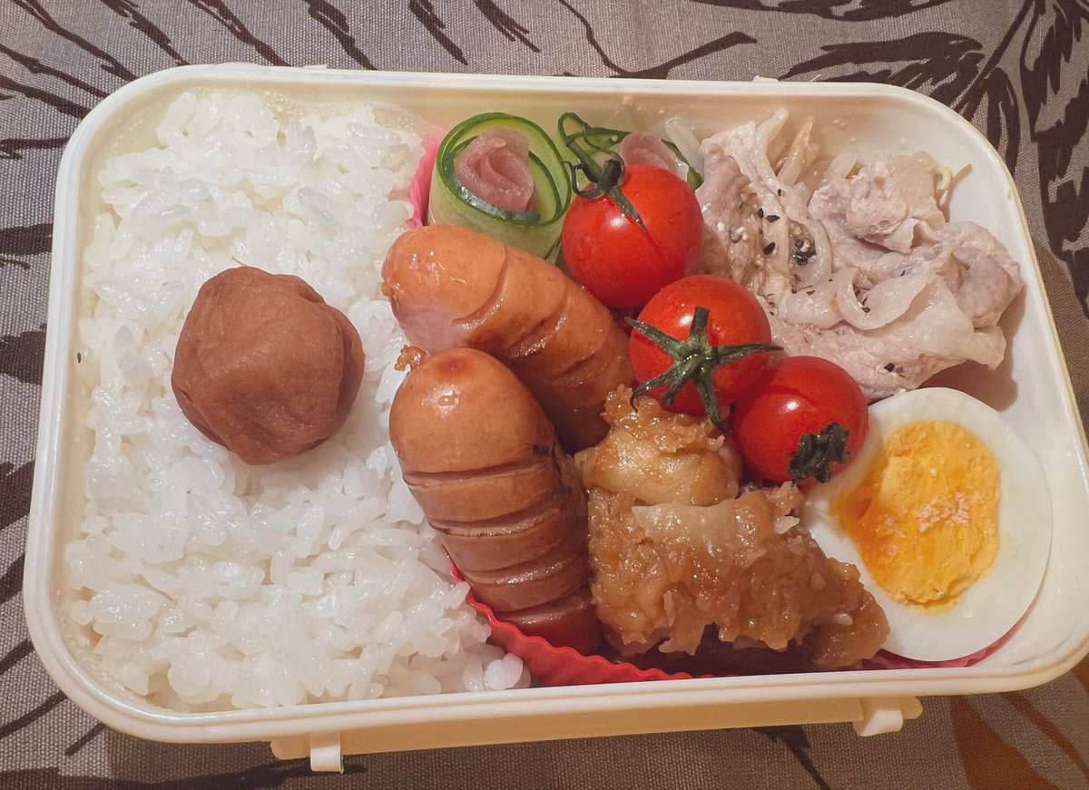 salaxxab's tweet photo. シルバーウィーク５連休のはずが今日明日は仕事入った！
社食にしちゃおうかと思ったけど、やっぱり家にあるものだけでお弁当にしたよ🍱
素敵な連休をお過ごしください💞 https://t.co/vEZV6sJ3MB