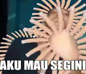 NathanielGrayCh's tweet photo. @faelerenvael aku ambil semua deh😋 https://t.co/7vnC1Byq4o