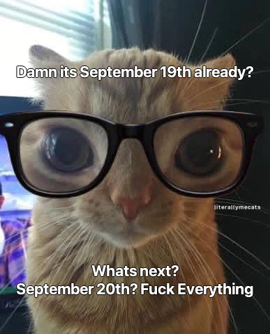 literallymecats's tweet photo. https://t.co/25fpwIm9Qt