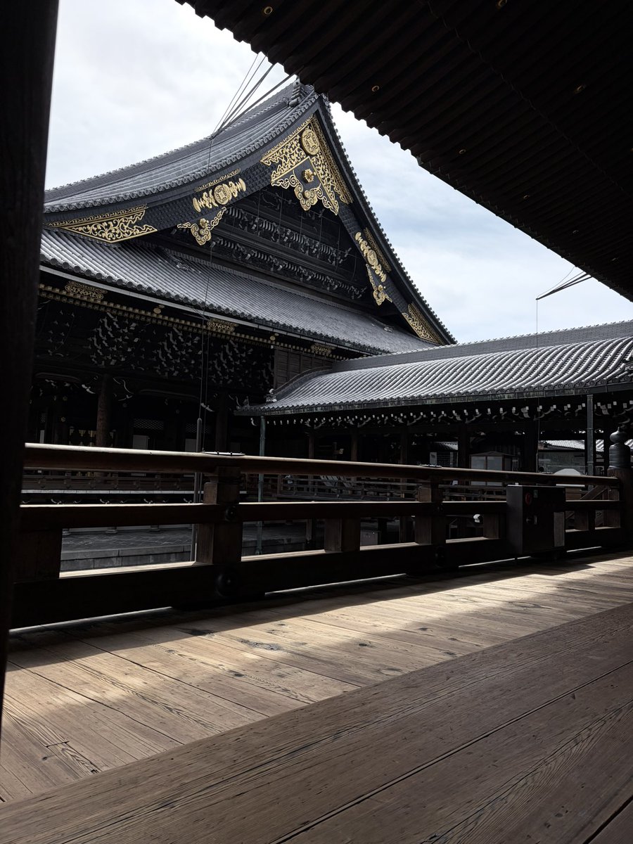 asariiumama's tweet photo. 居心地よくてずっと無心で座ってる https://t.co/rBc4XHxnqH