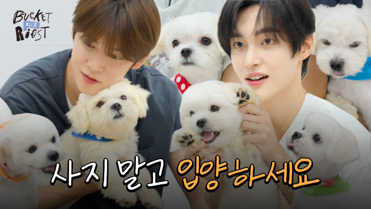 puarkwonbin's tweet photo. https://t.co/rQ3jSUfAOw | Spent the best day playing with these adorable little puppies alongside Eunseok hyung! My heart is completely melting over all this cuteness, so much fun on Bucket RIIST EP.9 🐶 https://t.co/jCr4RjgTUV