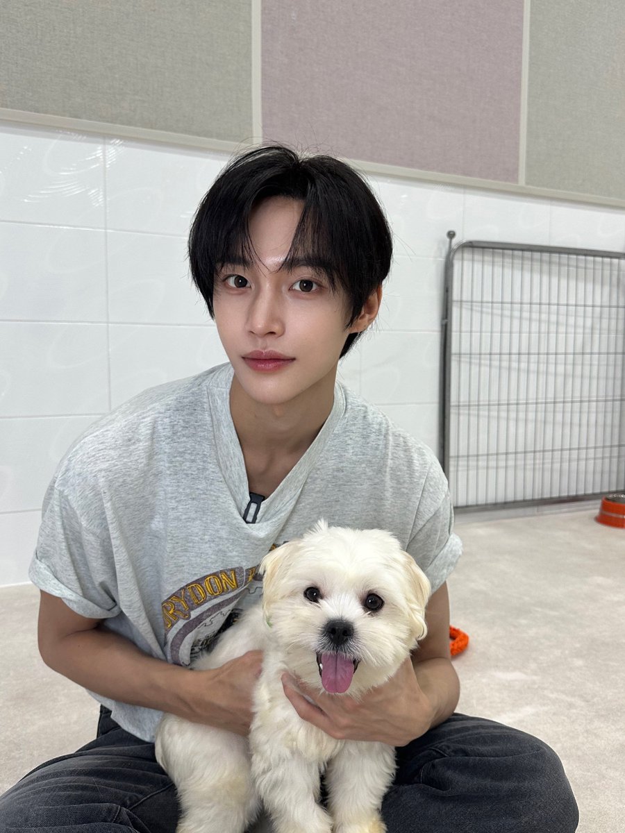 puarkwonbin's tweet photo. Puppy therapy. 🐶 https://t.co/rfvlgN7tYp