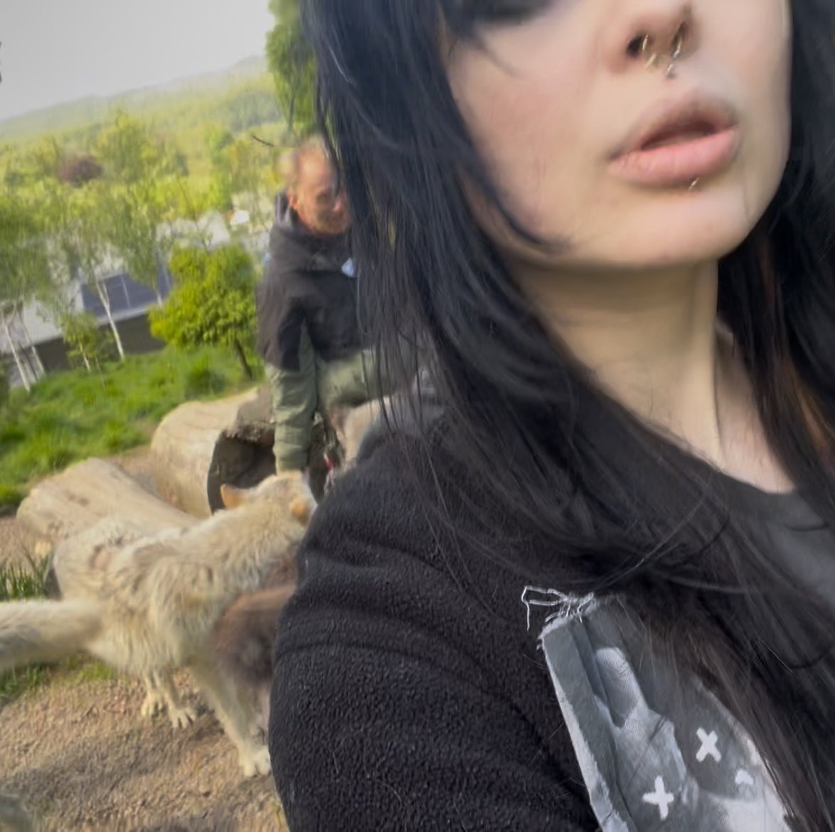 sleeptaxed's tweet photo. i am divinely protected by wolves https://t.co/5jJUU9Wa1S
