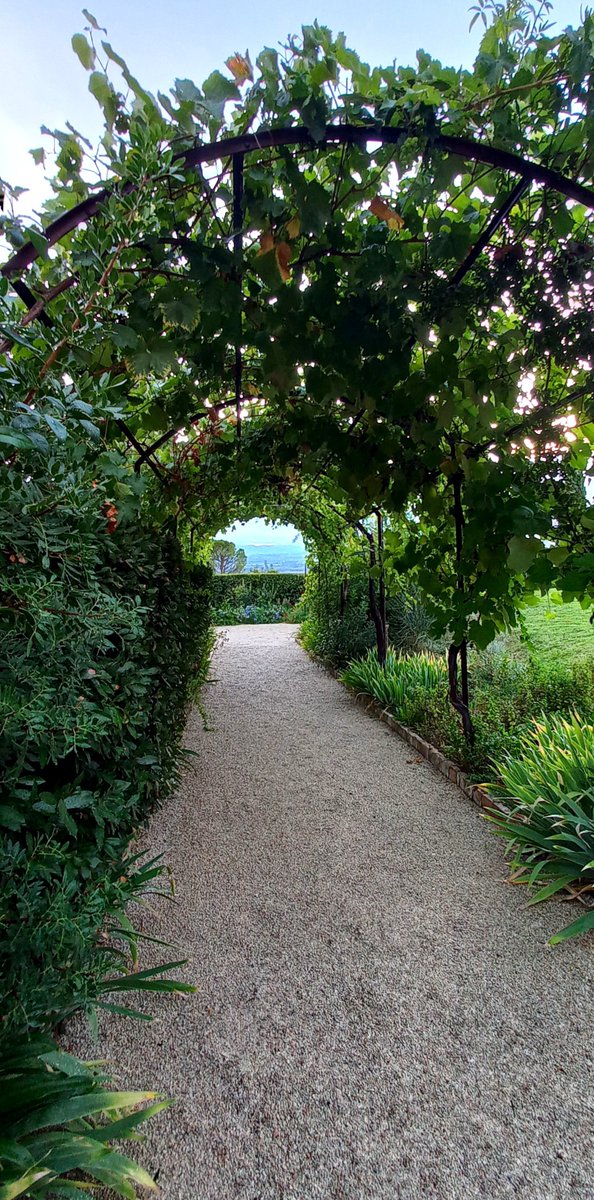 SabrinadP1's tweet photo. Quanta Bellezza 
ci invade quando
siamo immersi lì dove
Storia, Natura, Letteratura,
Vita, Emozioni, Passioni,
hanno dato vita a 
qualcosa di unico.
#Infinito #Recanati
#OrtoBotanico #Fai ☘️

#buongiorno ☕️🦋 https://t.co/4wCkVLE9sH