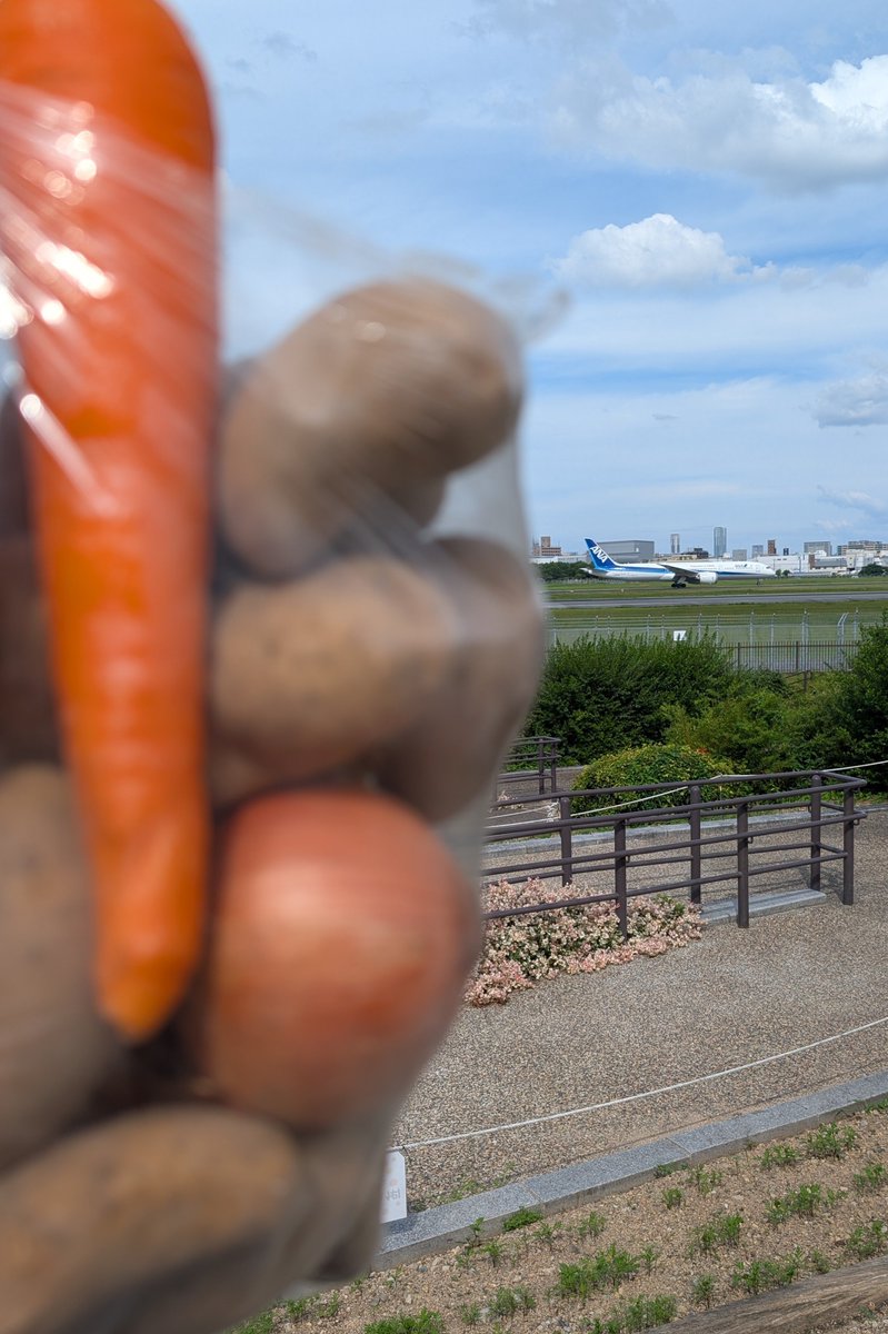 ngym_3nk's tweet photo. スカイパーク来たら野菜の詰め放題やってたー🥔子供たちに任せたら1.6キロ超に
夜はカレーにしよう！！

#伊丹スカイパーク https://t.co/5wZFWRvvpj