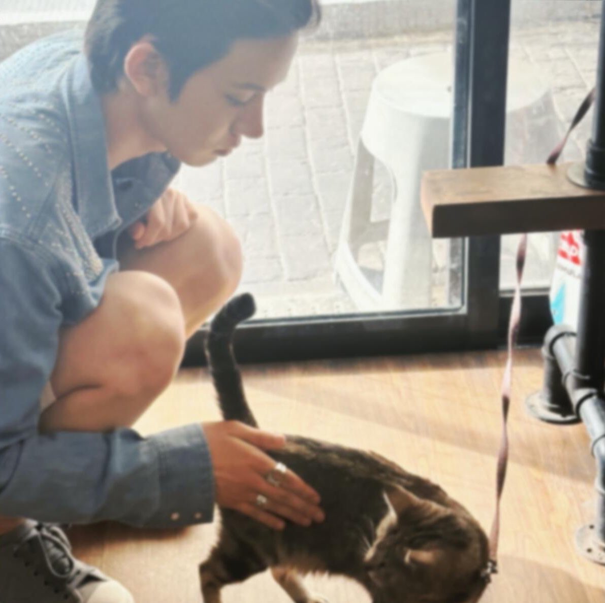 myevxn's tweet photo. my favorite cat lover and future cat dad (˵◝⩊◜˵マ https://t.co/Tj08nUN8VE