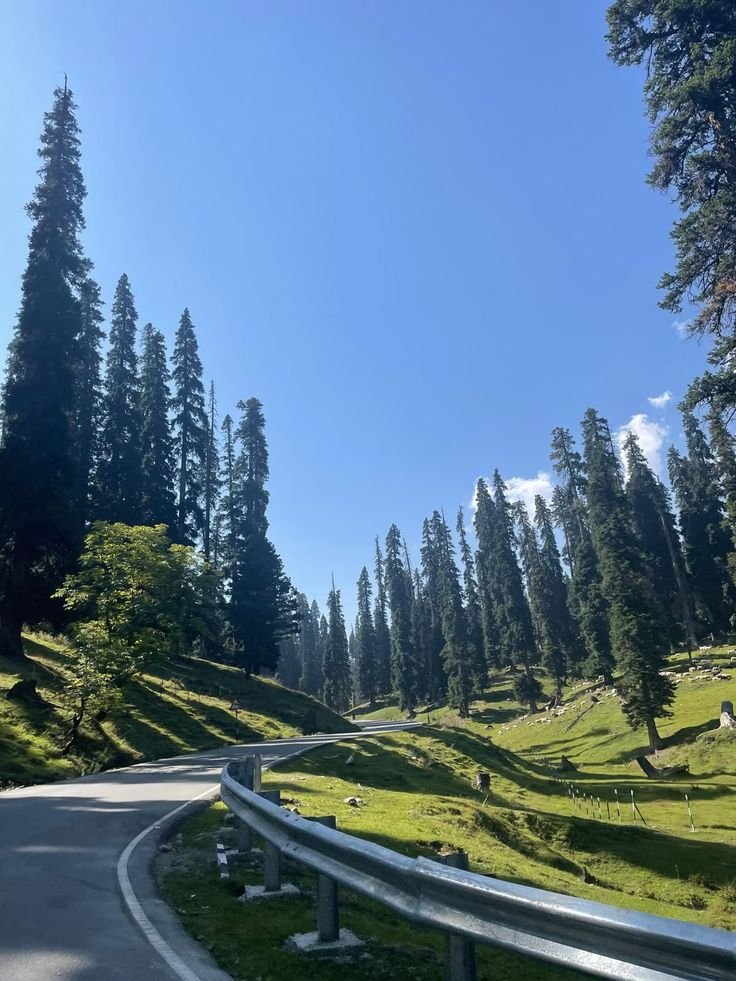 7am_reen's tweet photo. Gulmarg ❤️ Kashmir https://t.co/fSGzMYnA3R