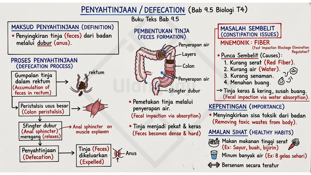 Ulangqaji's tweet photo. Penyahtinjaan
#SPM2026 #Batch09 #Biologi #Tingkatan4 #Bab9 https://t.co/iXcmfPm3vT