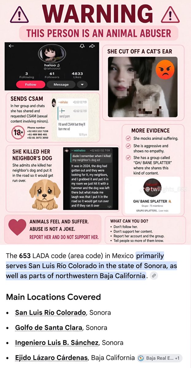 SaveLatAmCats's tweet photo. This is what’s happening among Mexican and other Latin American youth on TikTok – kids like “Haloo” with an interest in the True Crime Community and misanthropic groups like 764 and O9A are torturing cats and dogs for “fun”, uploading gore of them, and sharing child porn. (1/2) https://t.co/vDwvnY15uH