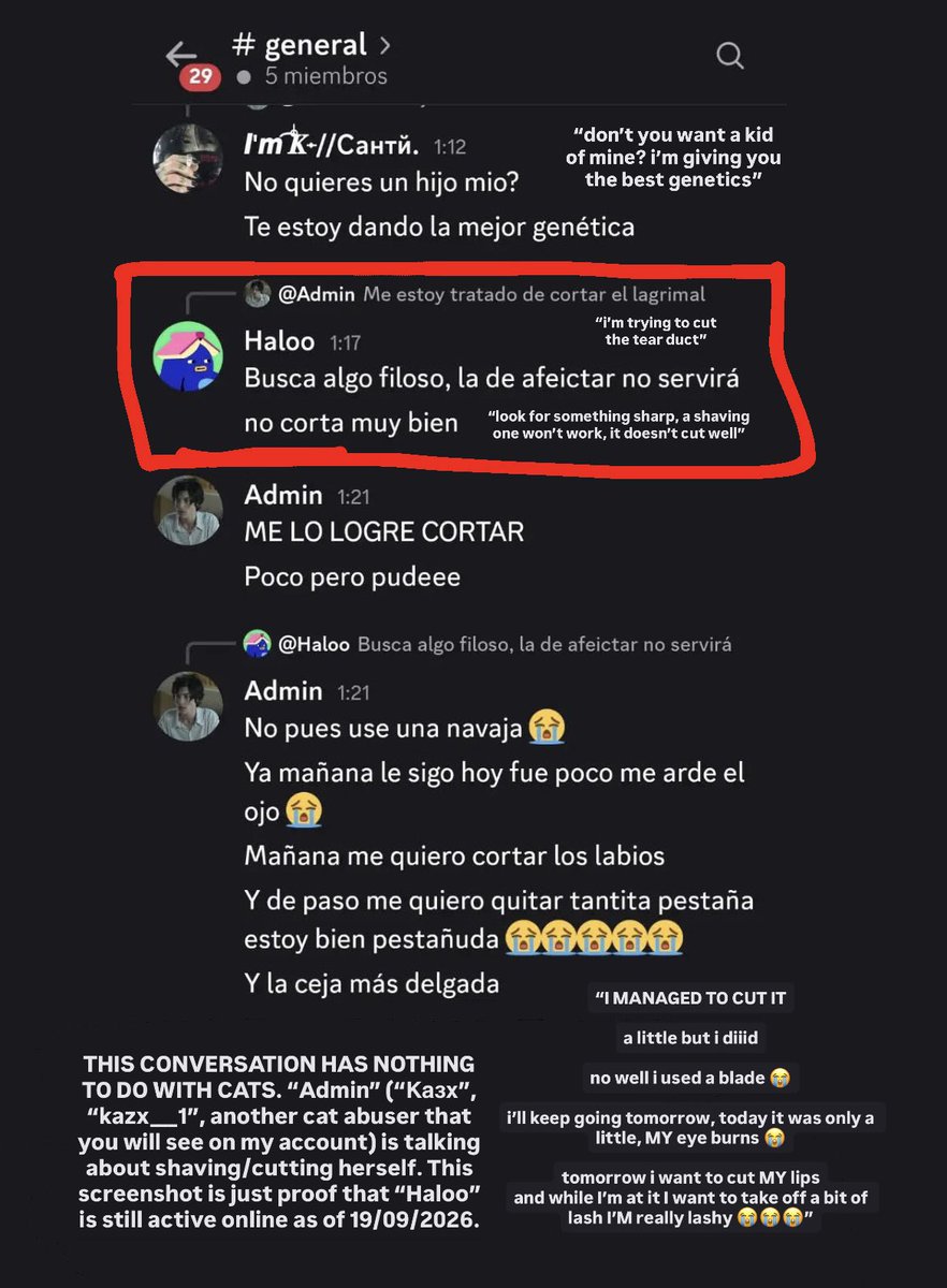 SaveLatAmCats's tweet photo. Haloo’s username changed, and we’re not able to find her current TikTok account. But we know that she’s still online and in these circles, at least on Discord.

Sonora cyberpolice email:  reportes.ciber@sonora.gob.mx

(2/2) https://t.co/Yb6RgOwayO