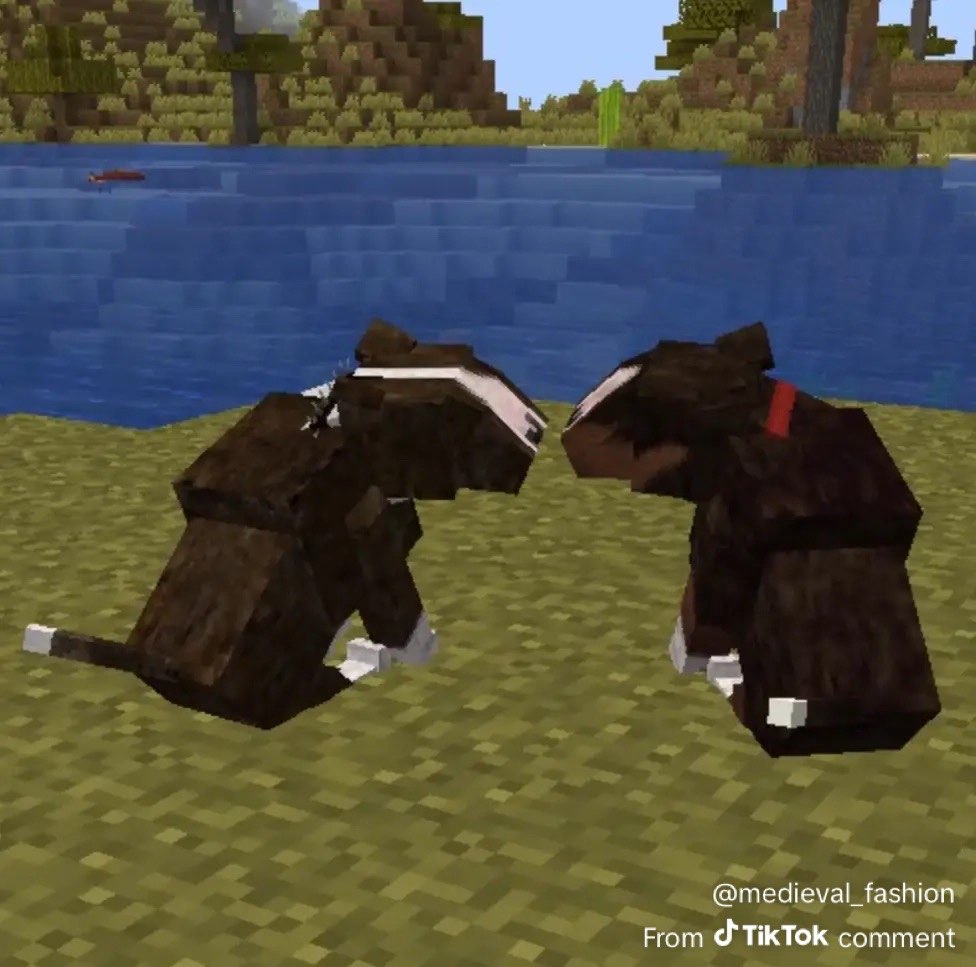 AvoidantMachine's tweet photo. I got sent these pics of bull terriers in the Minecraft n it hurts me bcuz I cannot find these ones anywhere. I want em so bad https://t.co/DbDUdjeG1q